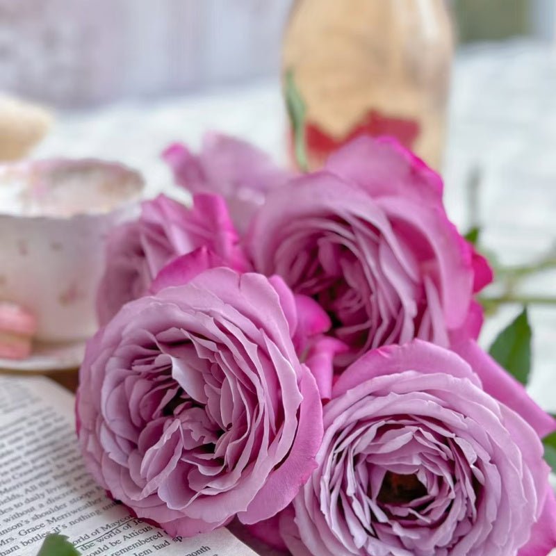 Perfu Purple Rose