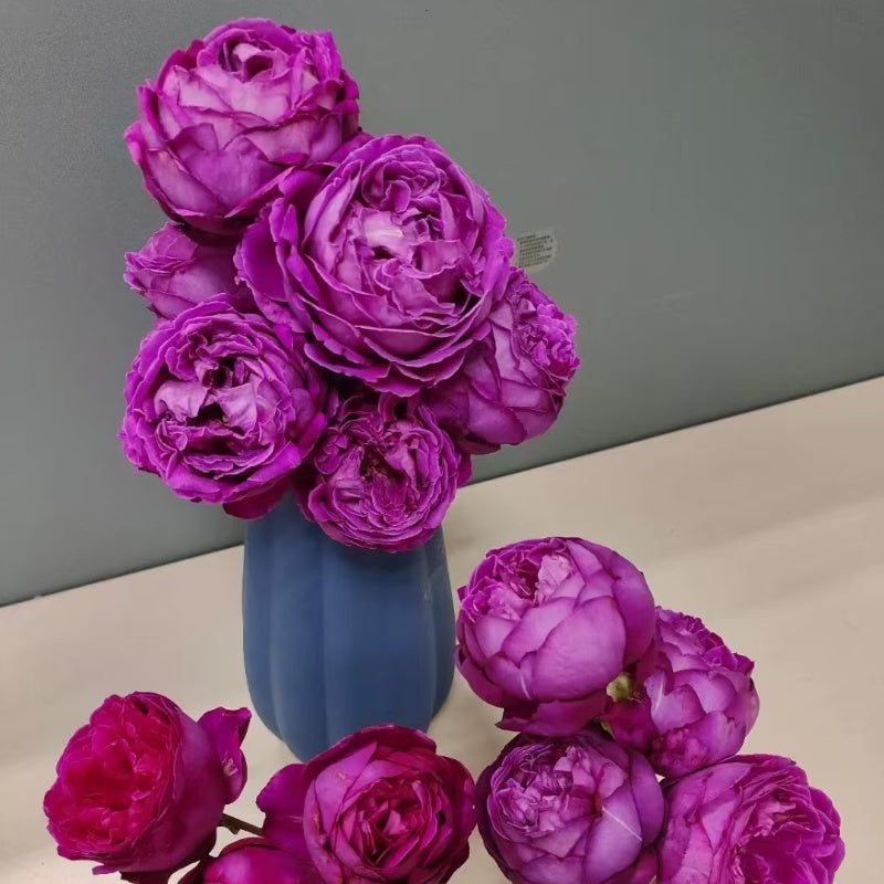 Jardin Parfume Rose