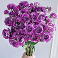 Scented Jewel Rose
