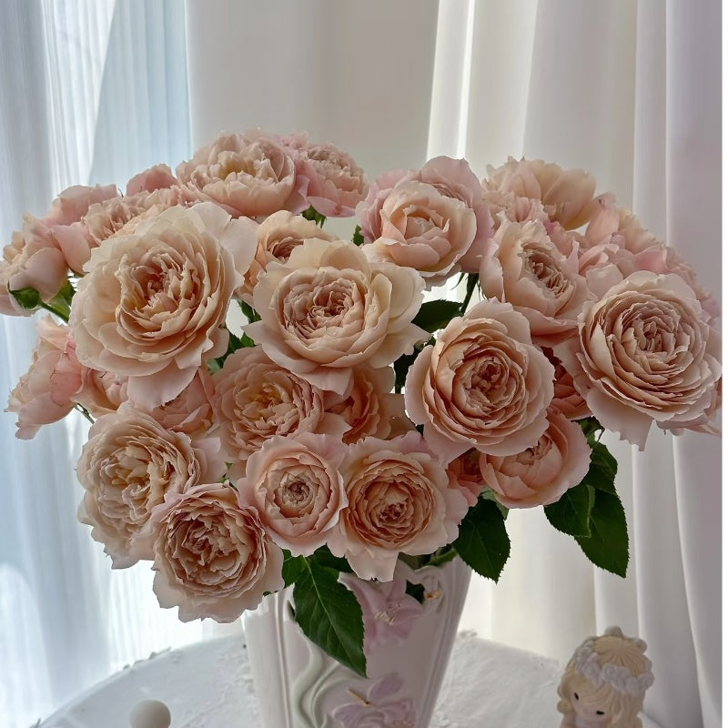 Charlotte Perriand Rose