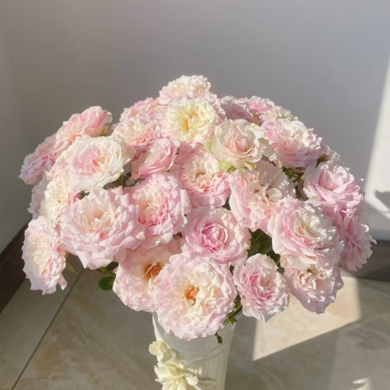 Wedding Rosever