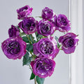 Scented Jewel Rose