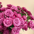 Deep Water Rose