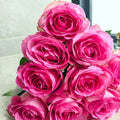 Candy Avalanche Rose