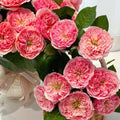 Romeo Rose