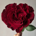 Hearts Rose