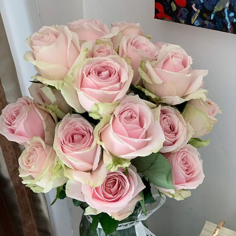 Regular Roses Pink Avalanche Rose – Fast-growing-Plant