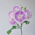 Blue Moon Stone Rose