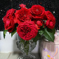 Red Apple Rose