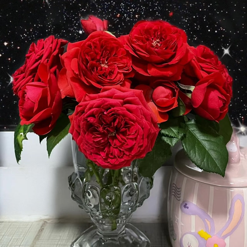 Red Apple Rose