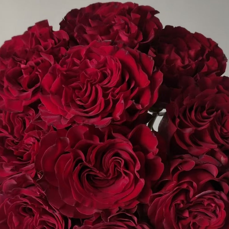 Hearts Rose