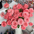 Bella Trendsetter Rose
