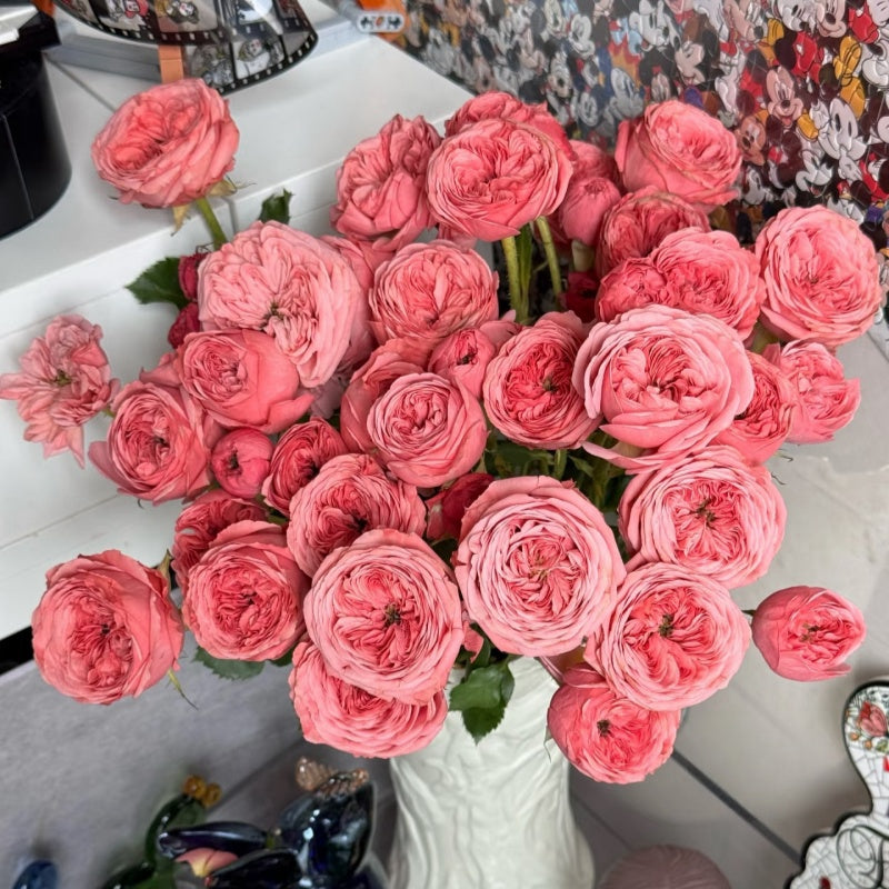 Bella Trendsetter Rose