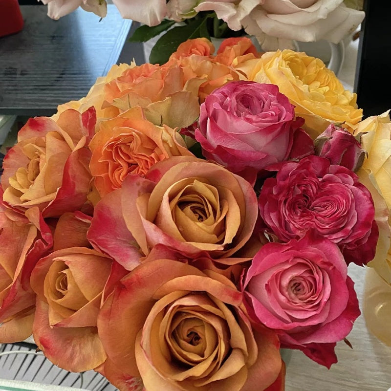 Symbol Rose