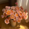 Edith rose by David Austin with soft pink petals and dark outer edges