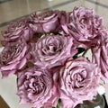 Scenta Rose