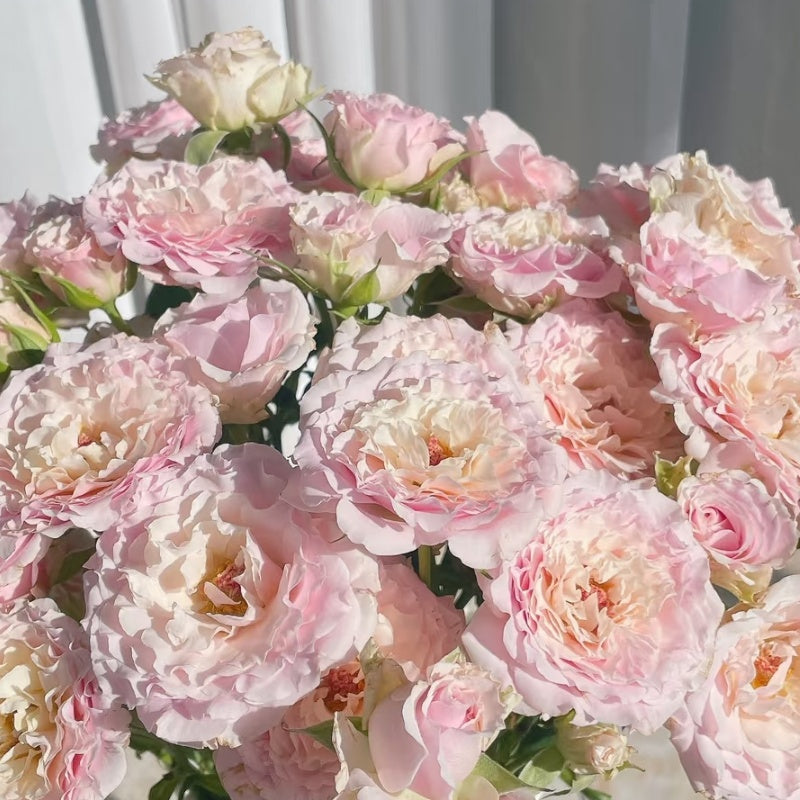 Wedding Rosever