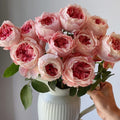 Princess Sakura Rose