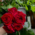 Republique de Montmartre Rose (Rose of the Nation's Angel)