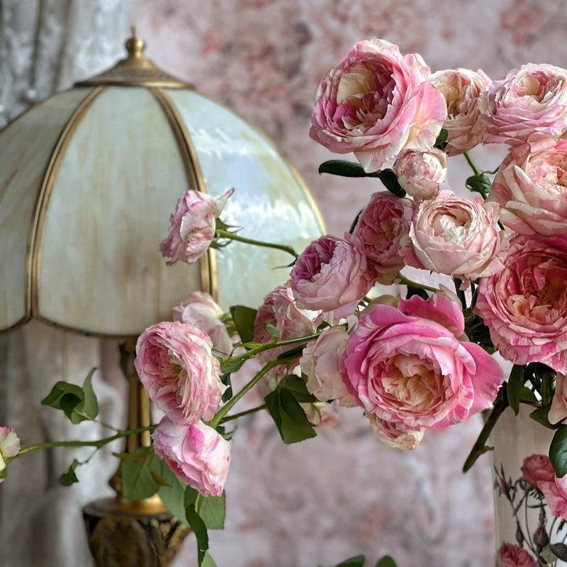 Claude Monet Rose