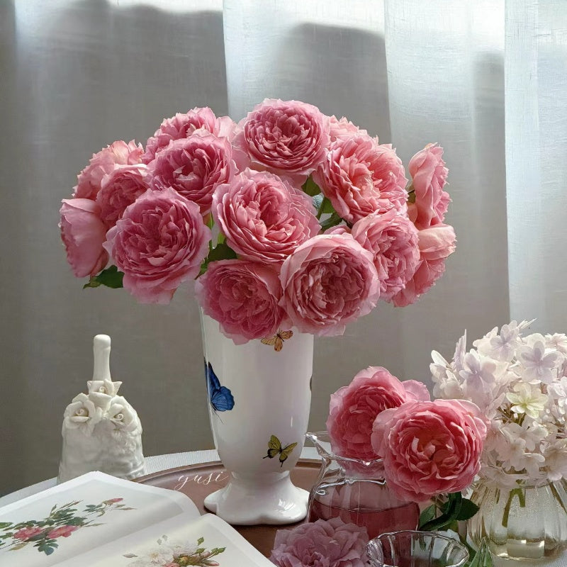 Jubilee Celebration Rose