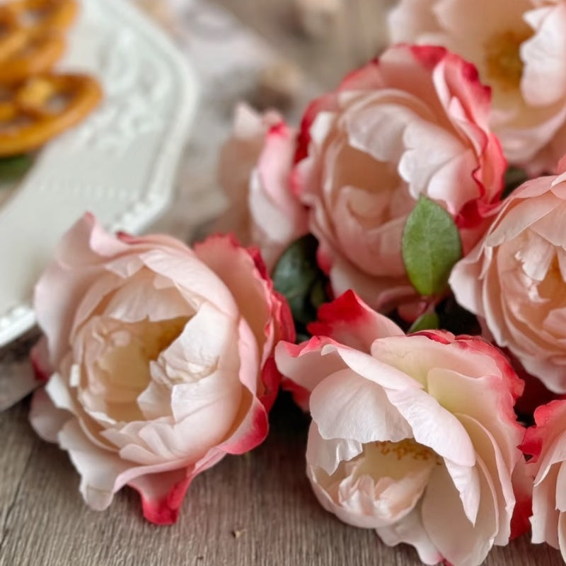Nostalgie Rose
