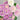 Blue Moon Stone Rose – Fairy-Like Blue-Purple Garden Rose - Blue Moon Stone Rose 08