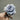 Blue Dress Rose – Rare Blue-Purple Japanese Garden Rose - Blue Dress Rose 08