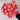 Bico Baby Romantica Rose – Long-Lasting Bicolor Garden Rose - Bico Romantica Rose 09