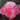 Minato Asahi Peony bloom – radiant sunrise tones of pink and coral, symbolizing hope and vitality.